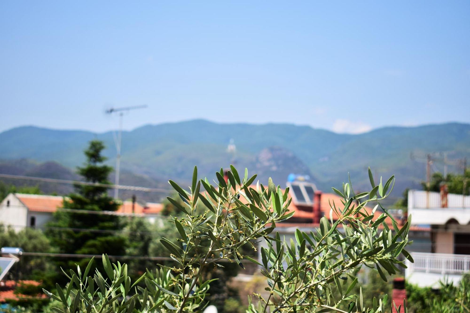 Apartments Anesis Pantazis Asprovalta Dış mekan fotoğraf